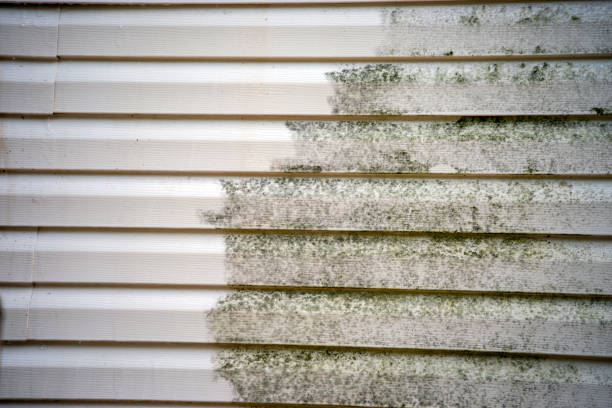 Best Mattress Disposal  in Hoquiam, WA